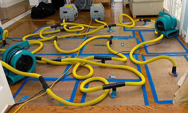 Professional Water Damage Repair technician working in Mckenna, WA