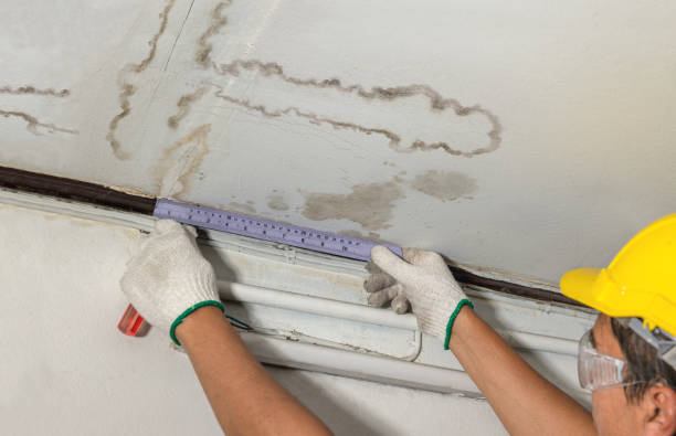 Affordable Water Damage Repair solutions in Mckenna, WA